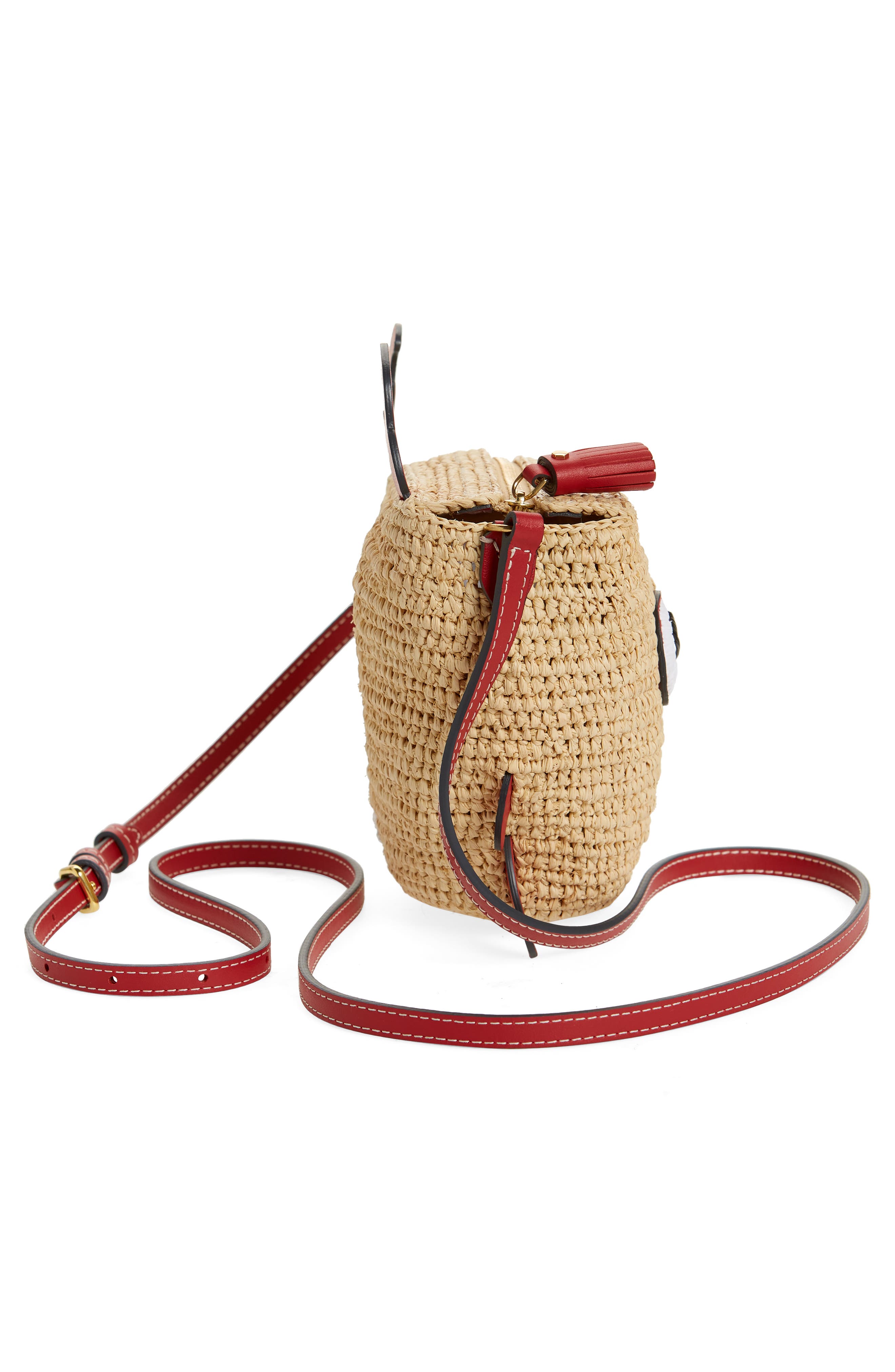 Anya Hindmarch Crab Raffia Crossbody Bag, Alternate, color, 