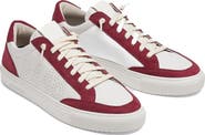 P448 Perforated Sneaker
