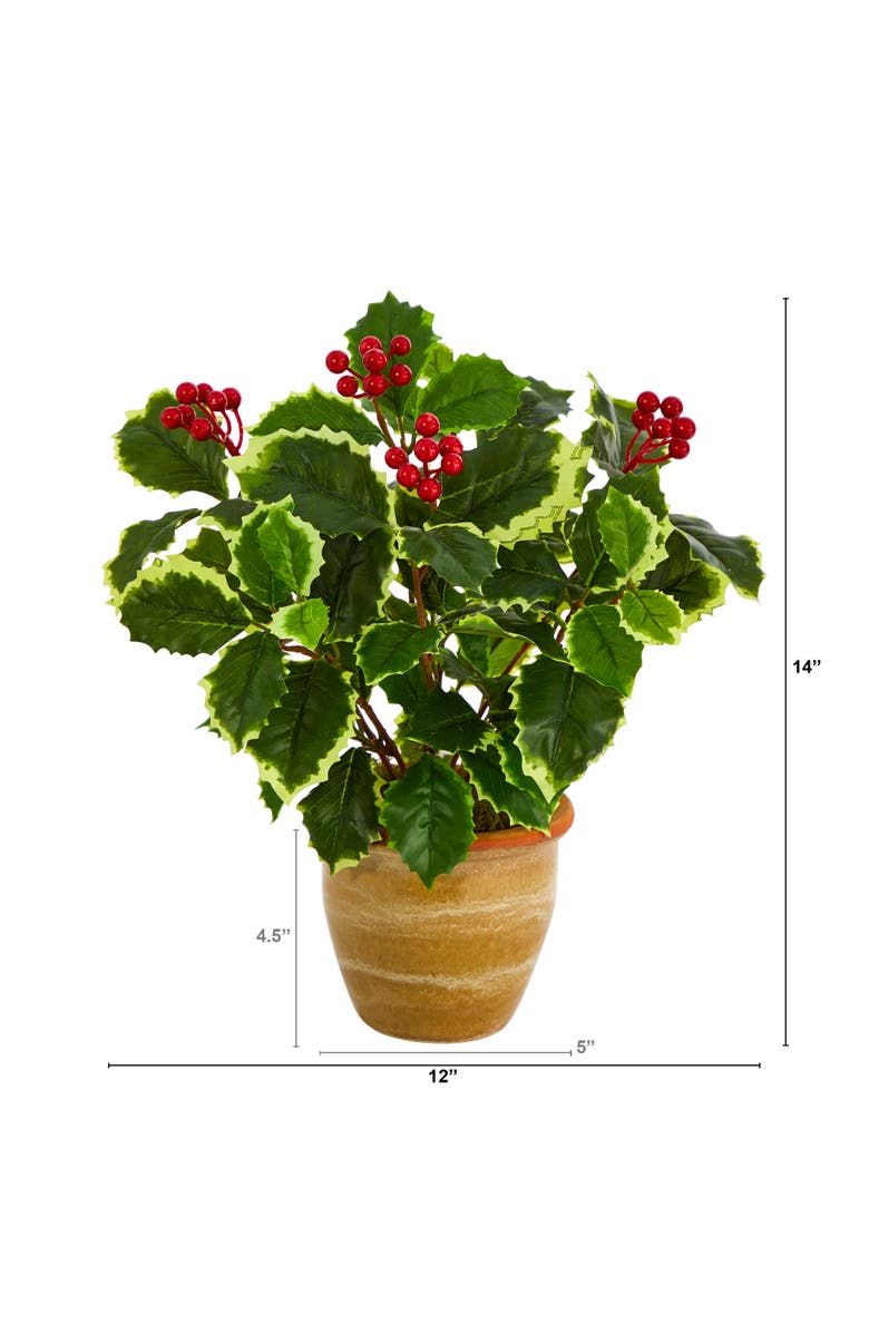 NEARLY NATURAL 14-in Variegated Holly Leaf Artificial Plant in Ceramic Planter, Alternate, color, Green