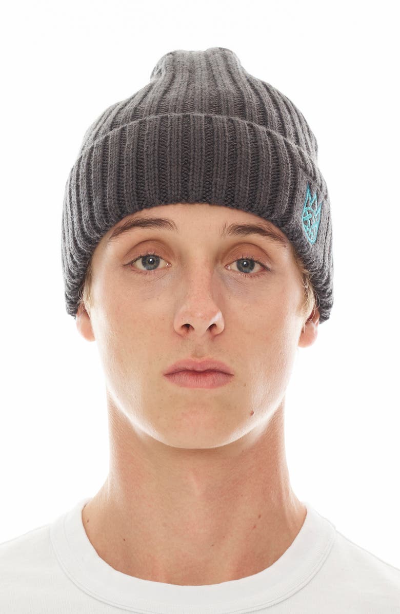 Cult of Individuality Embroidered Logo Cotton Knit Beanie, Main, color, 