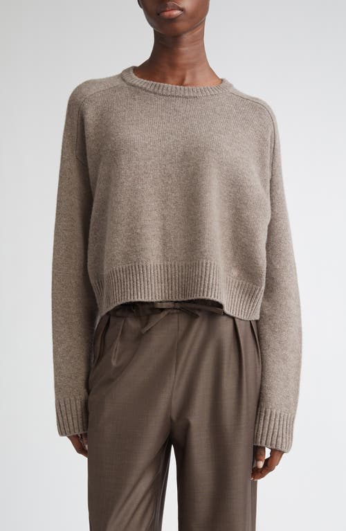 Loulou De Saison Bruzzi Oversize Wool & Cashmere Sweater In Brown