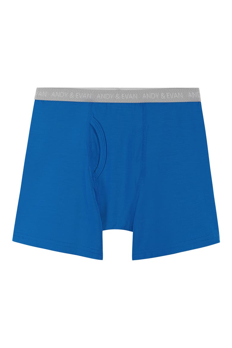 Kids' Assorted 5-Pack Boxer Briefs, Alternate, color, BLUE DINO