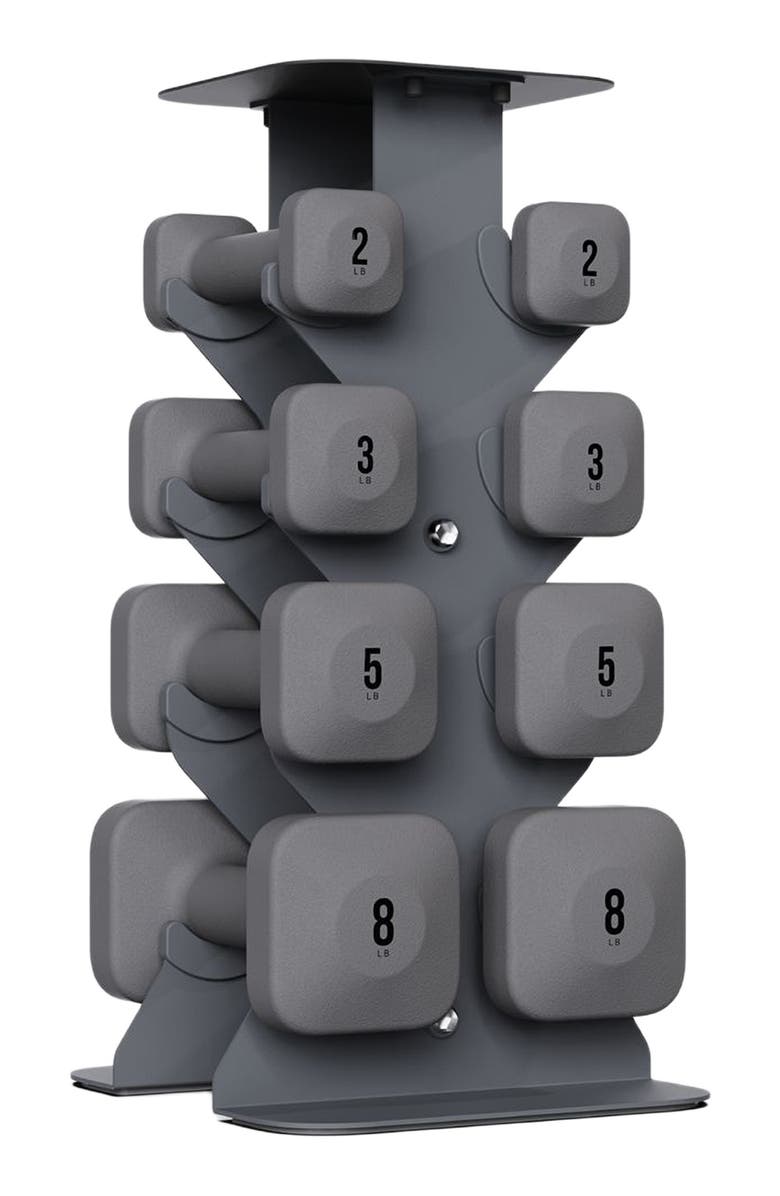 WeGym SafeGrip Dumbbells Lower Set with Dark Rack - 2, 3, 5, 8lbs, Main, color, Slate