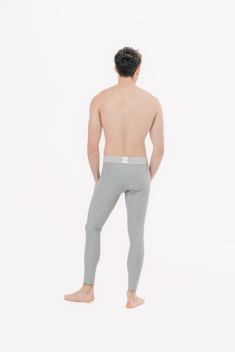 Men's Swim Leggings - UPF 50+, Alternate, color, Cool Silver Grey