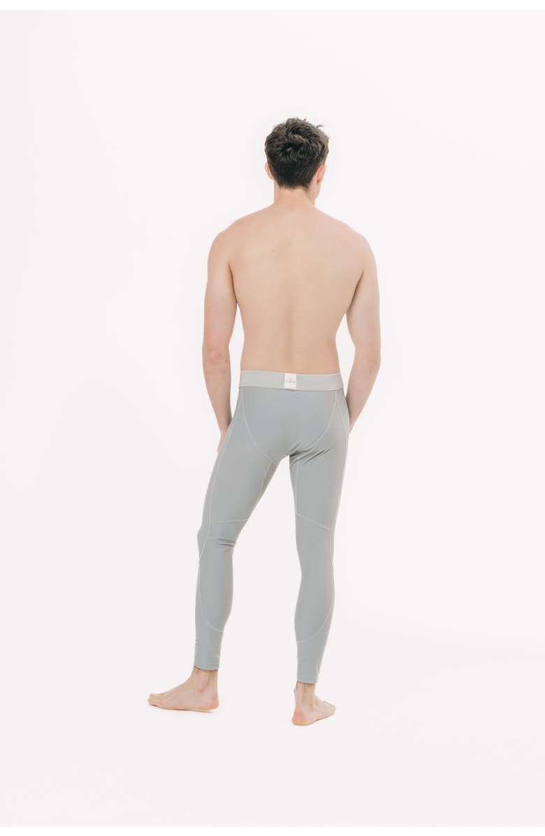 TUTUBLUE Men's Swim Leggings - UPF 50+, Alternate, color, Cool Silver Grey