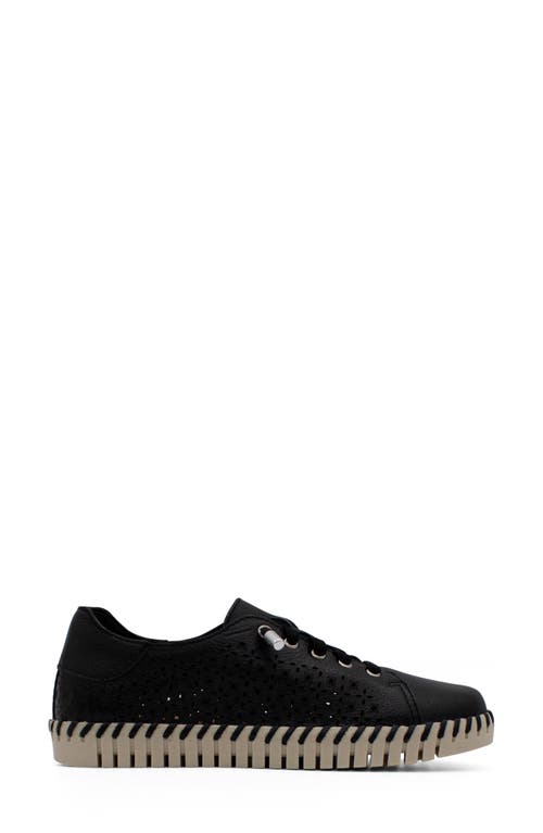 Bottero Bottwister Sport Sneaker