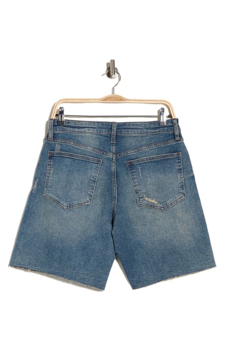 KUT from the Kloth Hailey High Rise Cutoff Shorts, Alternate, color, Organization