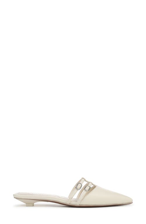 FRANCO SARTO FRANCO SARTO PIA POINTED TOE MULE