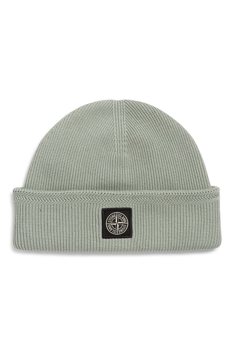 Compass Logo Patch Rib Beanie, Main, color, SAGE