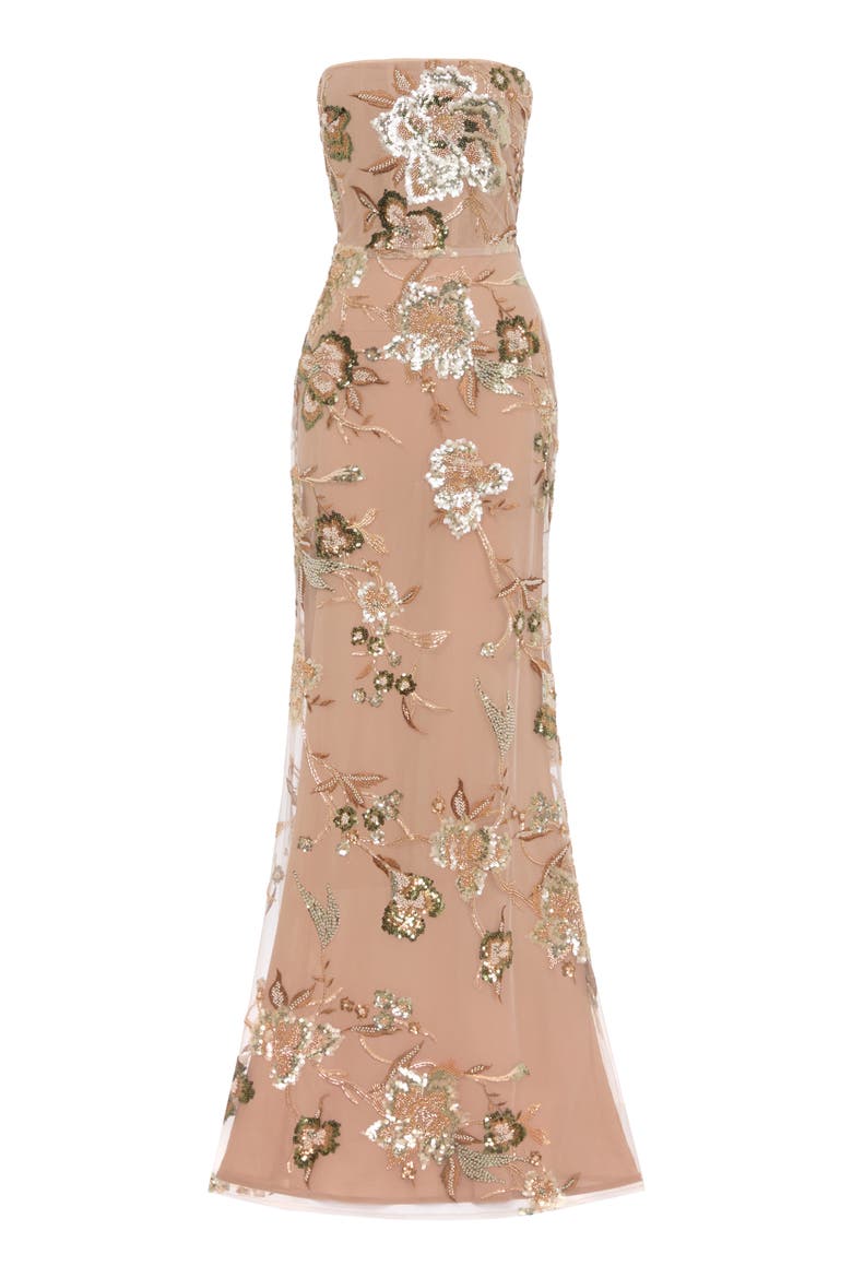 Pippa Floral Embellished Mesh Gown, Alternate, color, TAUPE MULTI