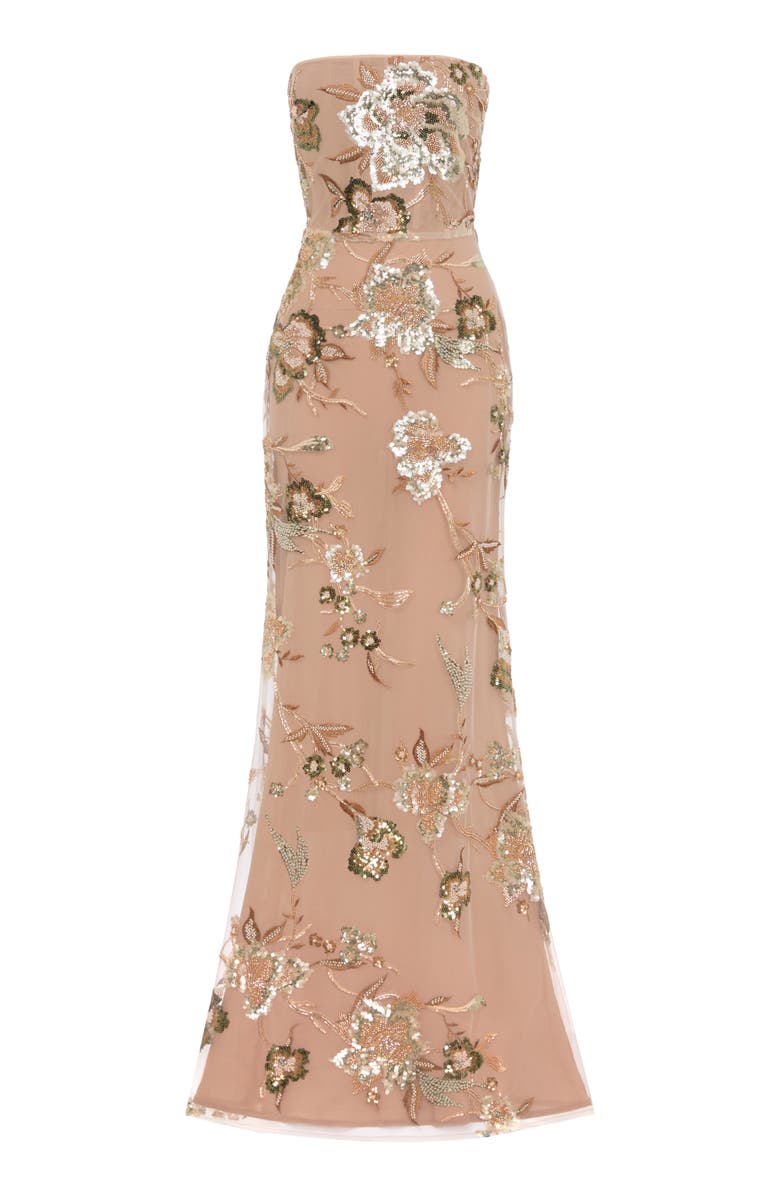 SAU LEE Pippa Floral Embellished Mesh Gown, Alternate, color, Taupe Multi