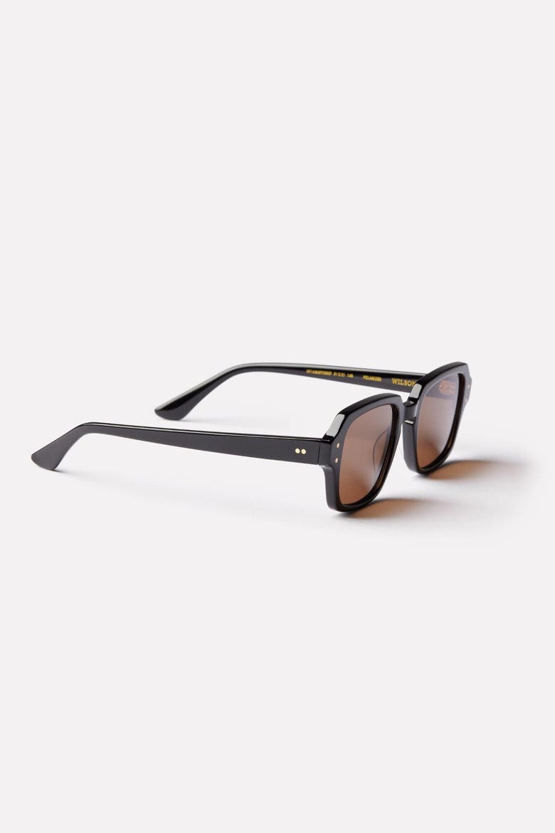 Wilson Sunglasses, Alternate, color, Black/ Brown