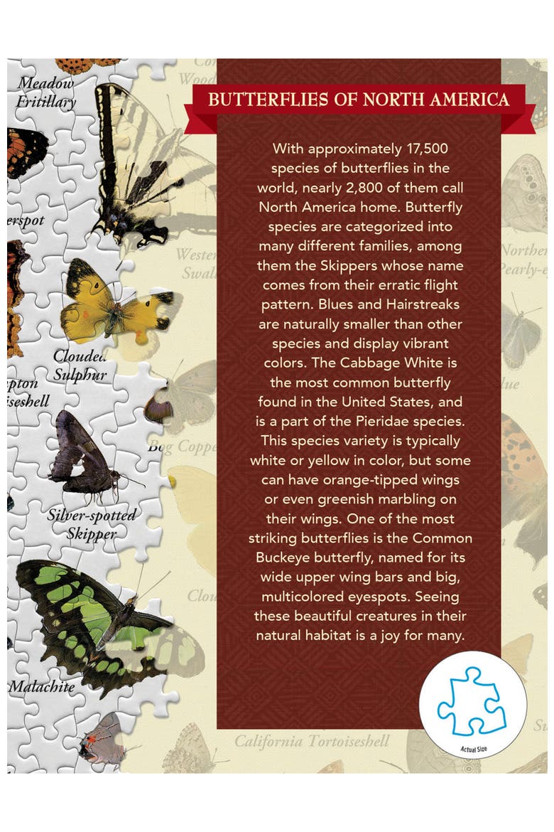 Butterflies 1000 Piece Jigsaw Puzzle, Alternate, color, Multicolor