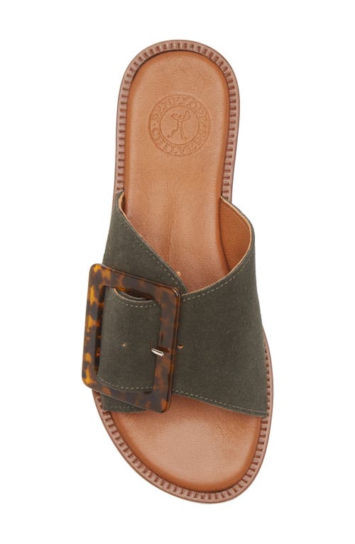 Penelope Chilvers Biarritz Buckle Sandal In Khaki
