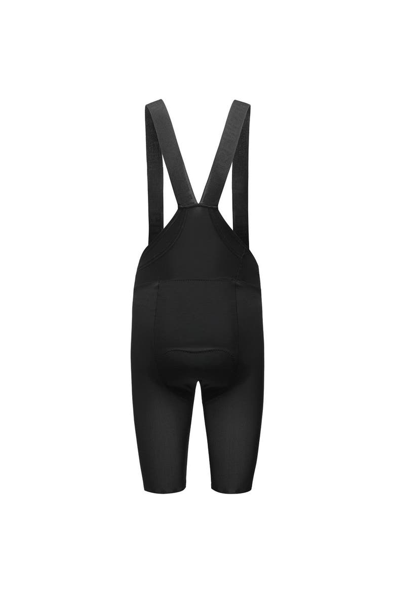 Fernflow Liner Bib Shorts+ - Men's, Alternate, color, Black
