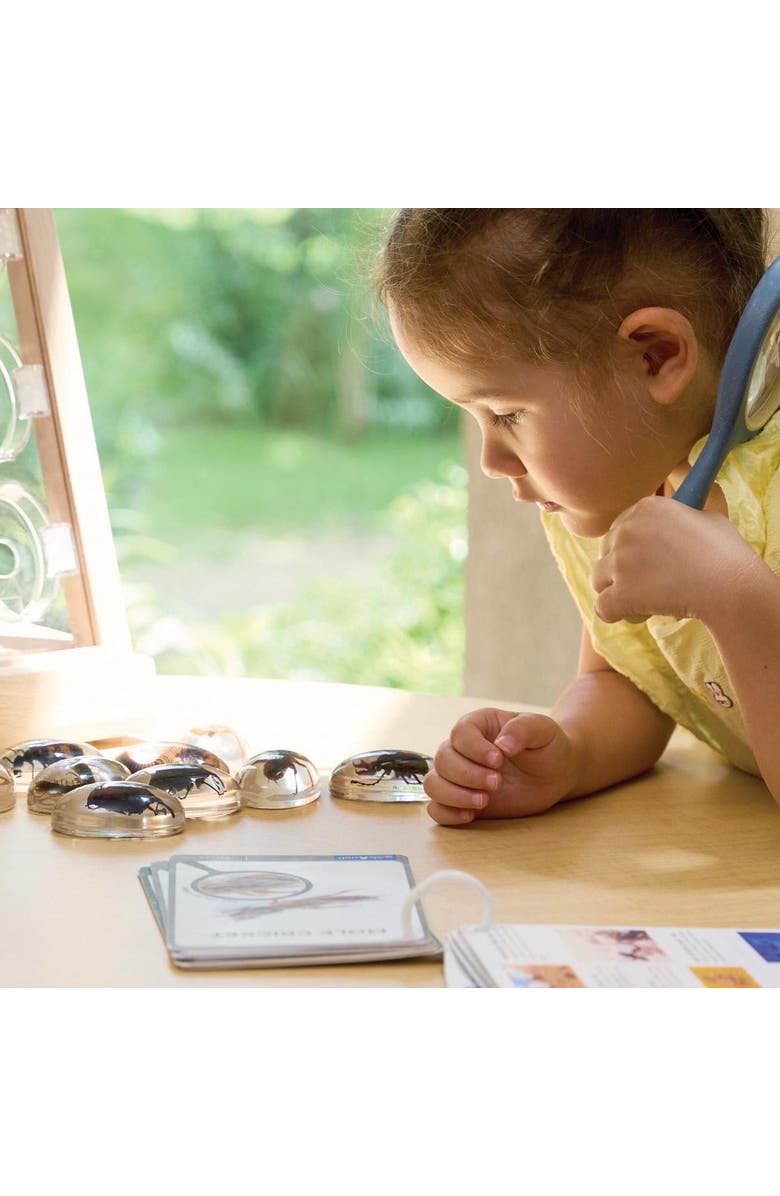 Kaplan Early Learning Company Specimen Stones Creepy Crawlers - 9 Stones, Alternate, color, Multicolored