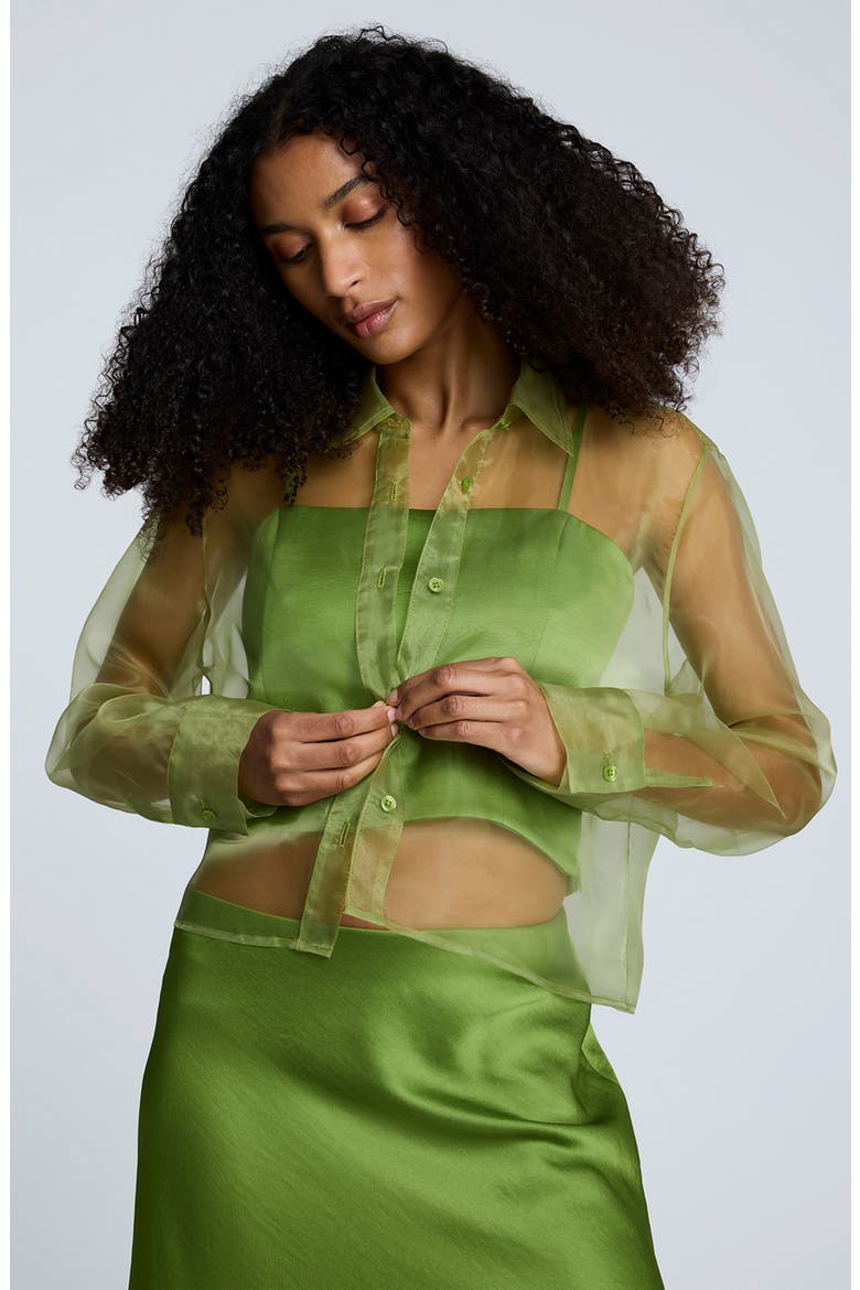 Sheer Organza Button-Up Shirt (Women) | Nordstrom