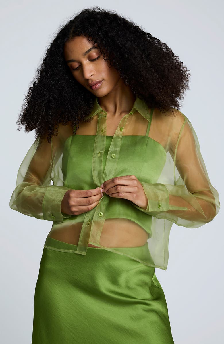 Kenneth Cole Sheer Organza Button-Up Shirt, Alternate, color, Cactus Green