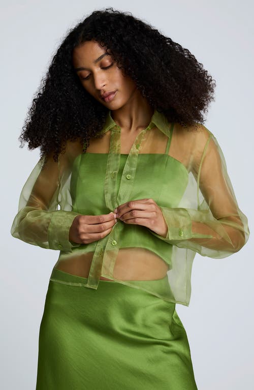 Kenneth Cole Sheer Organza Button-up Shirt In Green
