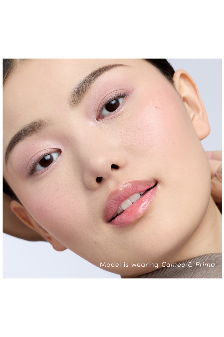 Colorluxe Eyeshadow Stick, Alternate, color, CAMEO