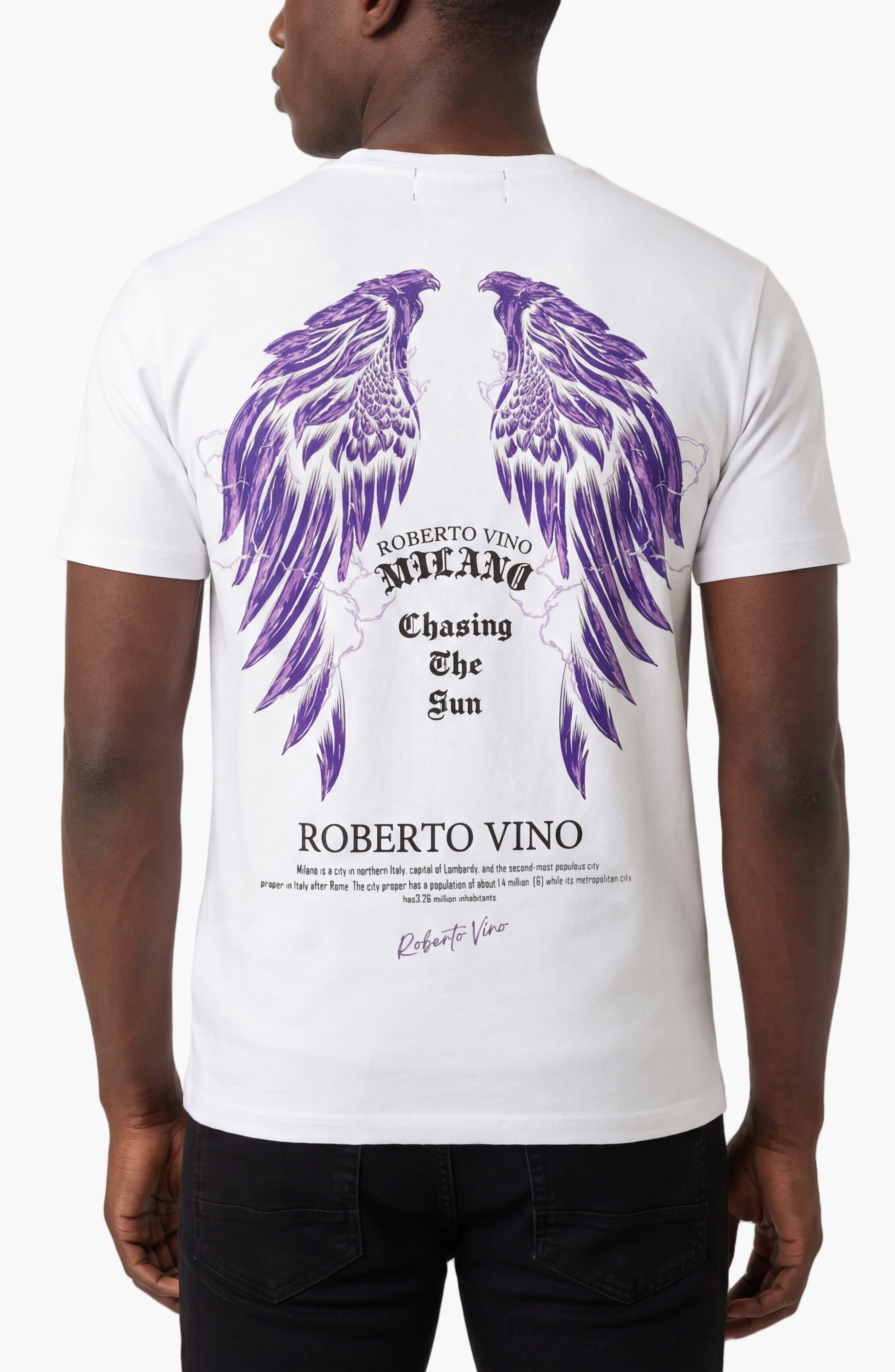 Chasing The Sun Slim fit Tee - image 4