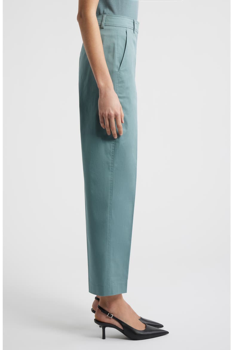 Tecarino2 Flat Front Ankle Pants, Alternate, color, REEF