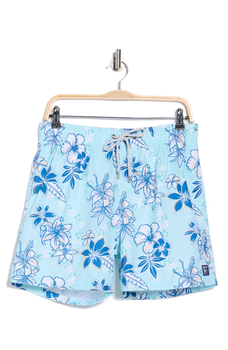 Vintage Summer Volley Swim Shorts, Alternate, color, 