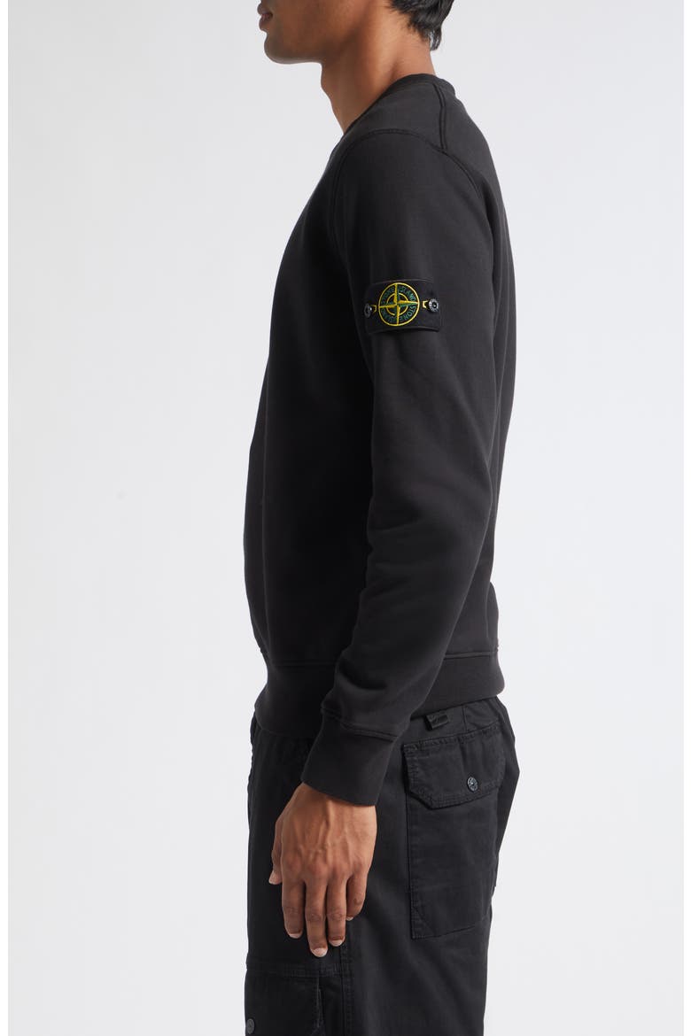 Compass Logo Patch Cotton Crewneck Sweatshirt, Alternate, color, V0029 BLACK