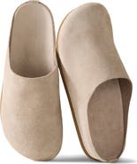 Haven Well Within Suede Clogs