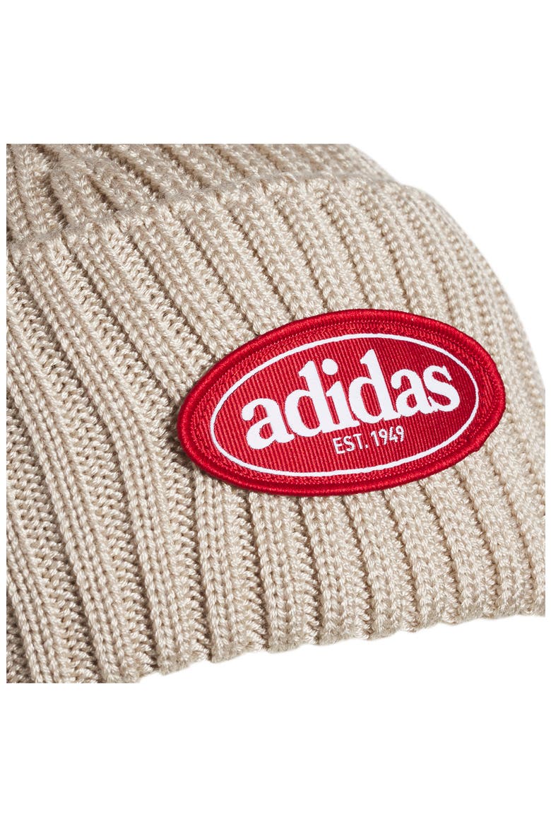Roam Rib Knit Beanie, Alternate, color, ALUMINA GREY/ RED/ WHITE