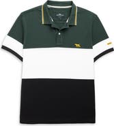 Rodd & Gunn Homebay Sports Fit Colorblock Cotton Piqué Polo