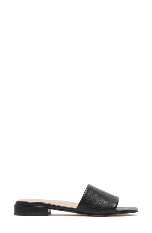 Frankie4 Aniston Slide Sandal In Multi