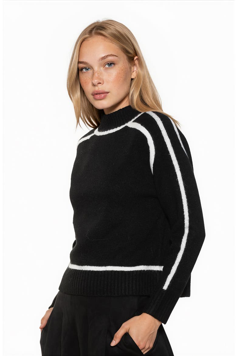 Richie Turtleneck Sweater, Alternate, color, BLACK