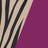  Zebra Beige/ Fuschia