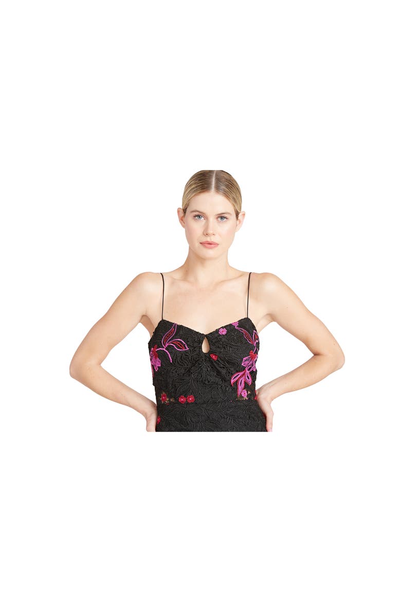 Sleeveless Embroidered Lace A-Line Dress, Alternate, color, BLACK MULTI