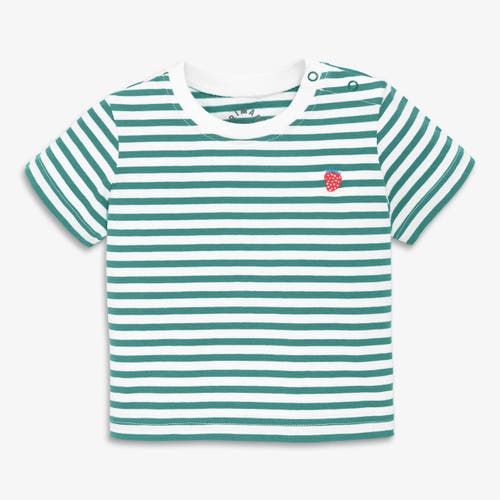Primary Kids'  Baby Embroidered Stripe Tee In Green
