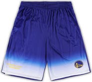 FANATICS Men's Fanatics Branded Royal Golden State Warriors Big & Tall Fadeaway Shorts