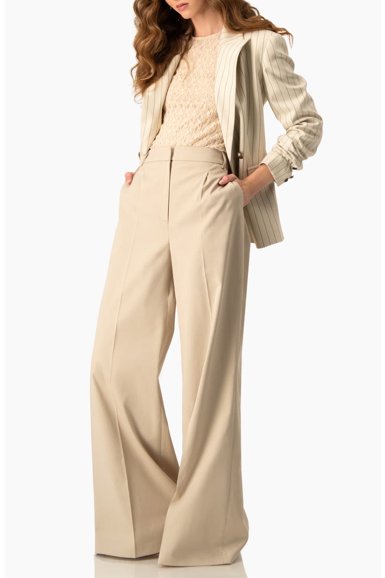 Pinstripe Double-Breasted Blazer, Alternate, color, Beige