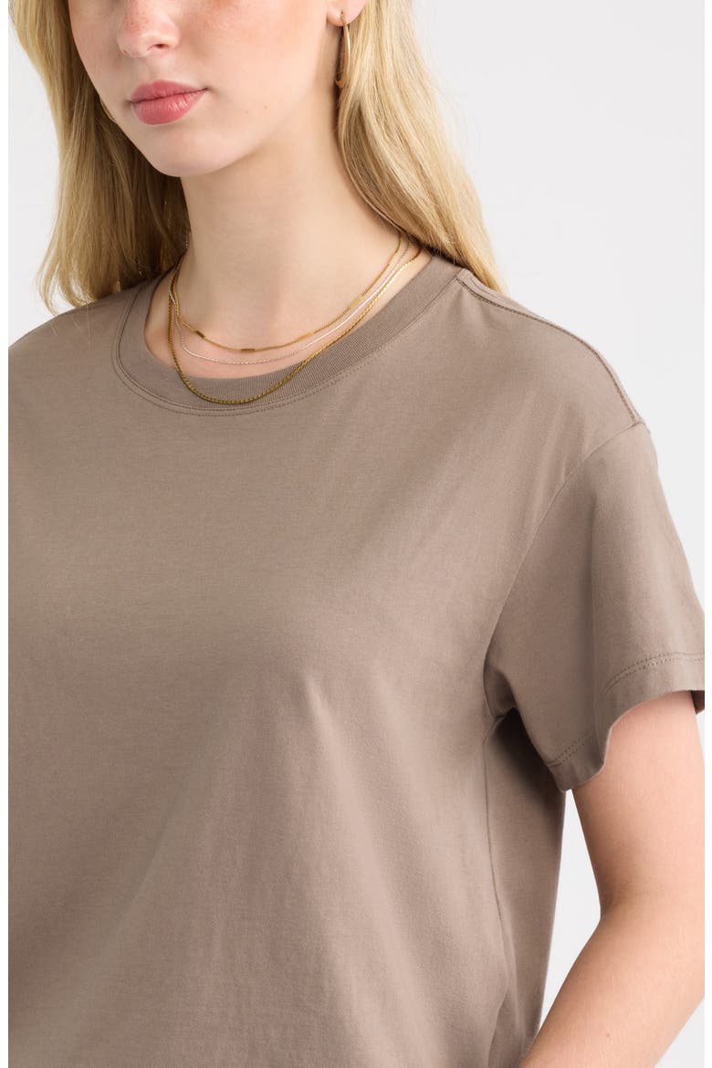 Favorite T-Shirt, Alternate, color, BROWN WALNUT