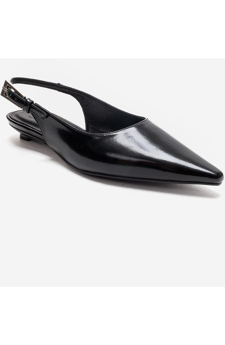Prologue Shoes Jenna Slingback Pointed Toe Pump, Alternate, color, Black