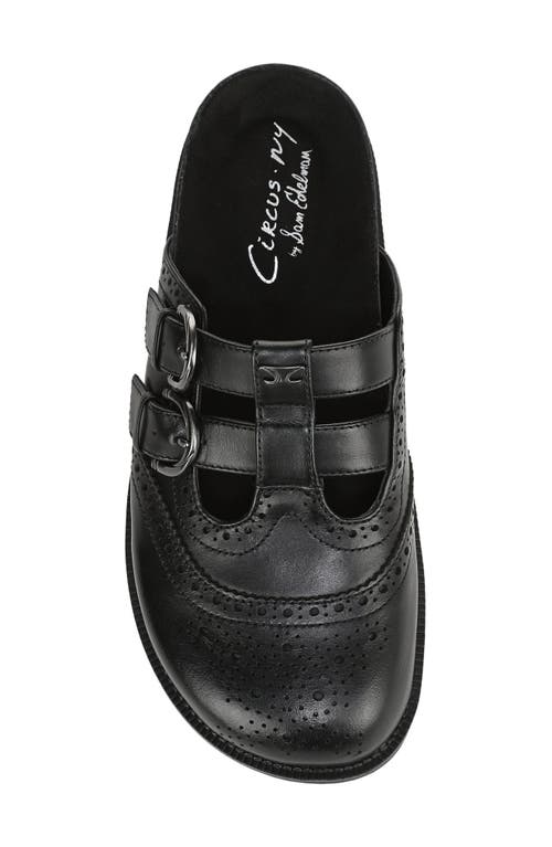 Circus Ny By Sam Edelman Claudia Mule In Black