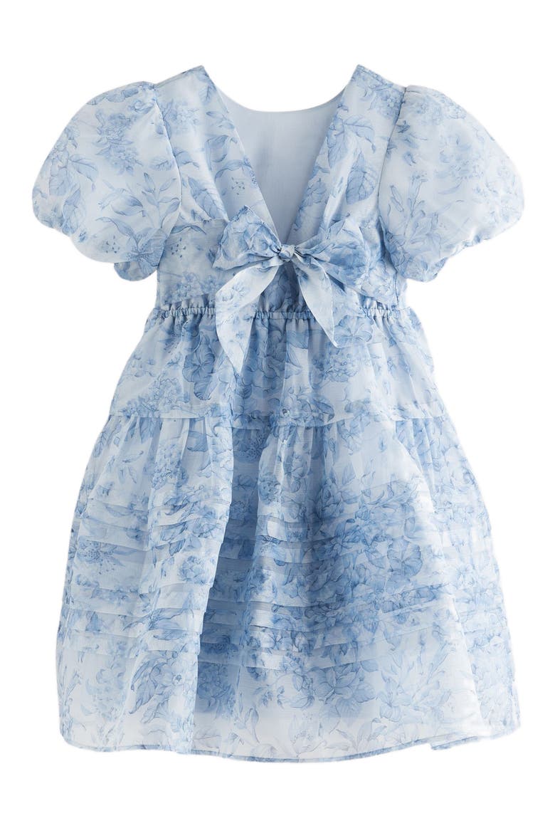 Kids' Puff Sleeve Organza Dress, Alternate, color, BLUE FLORAL