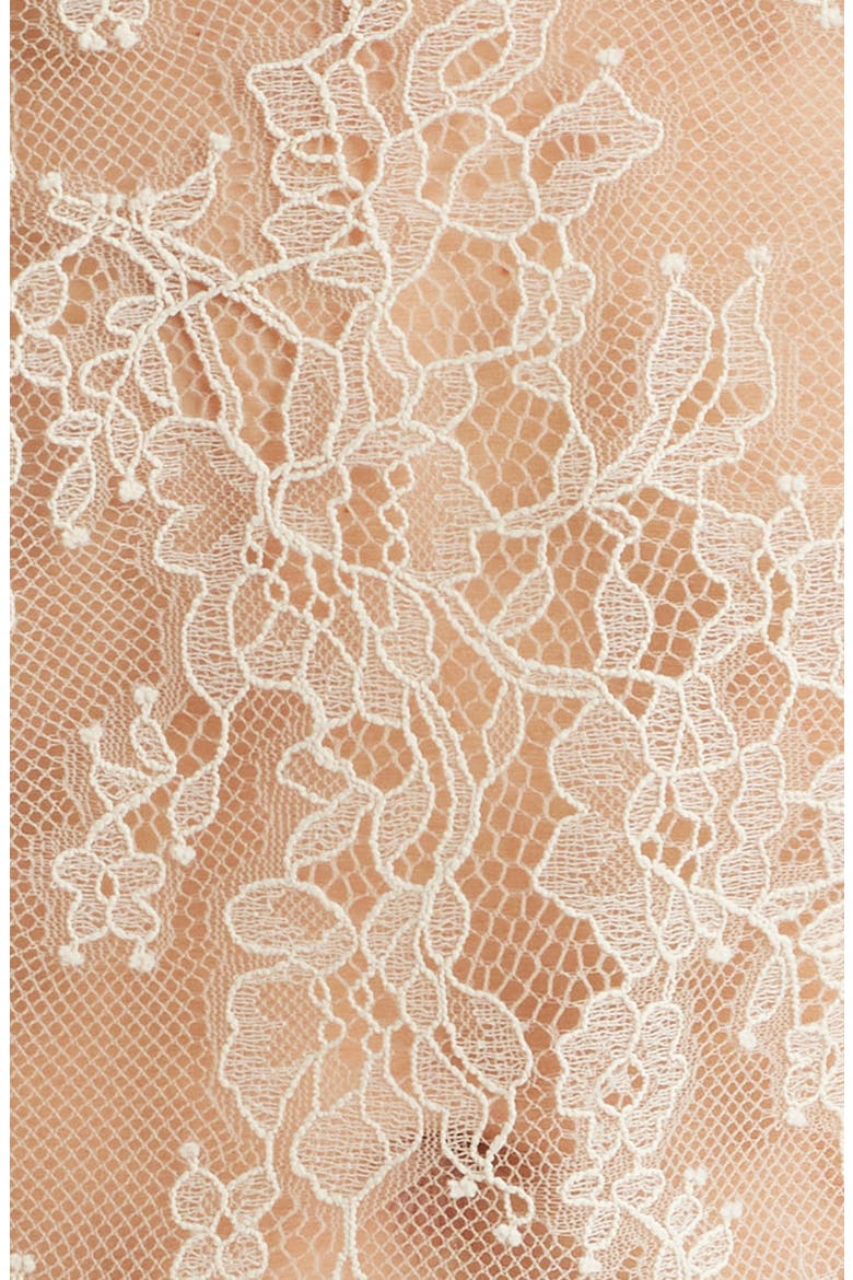 Fallon Sheer Lace Top, Alternate, color, ANTIQUE