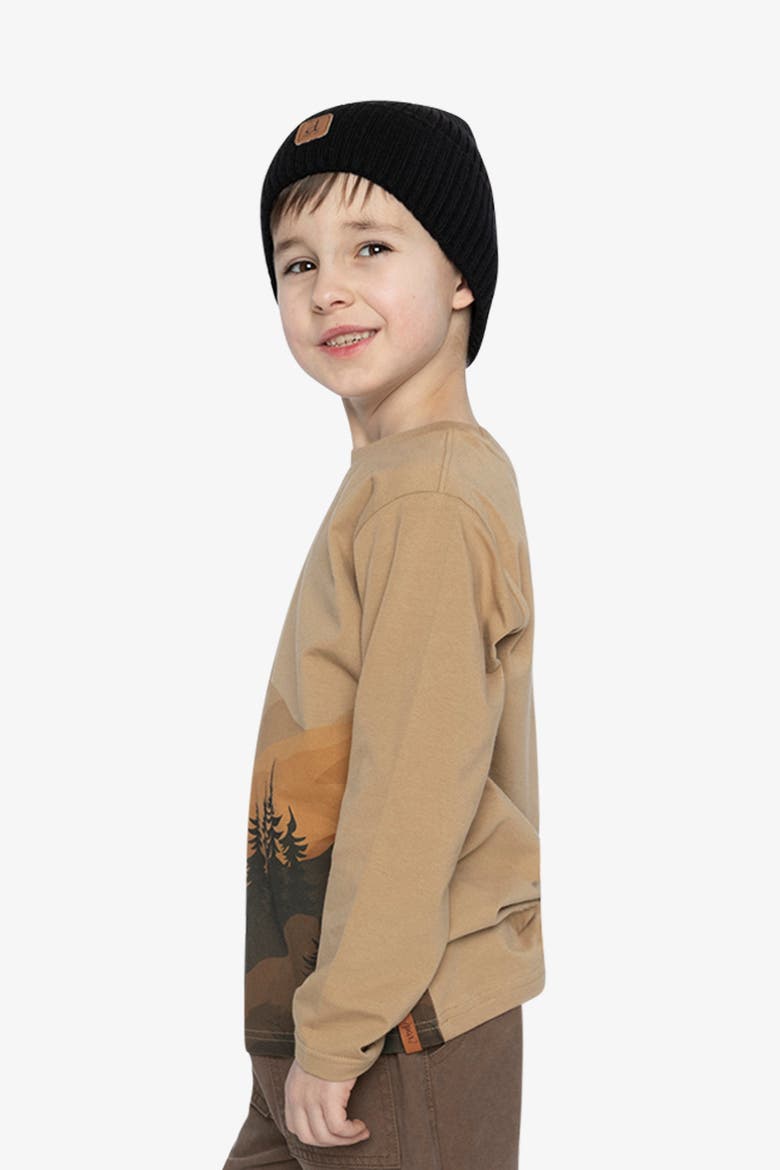 Organic Cotton Crew Neck Mountain Graphic Long Sleeve T-Shirt, Alternate, color, Beige
