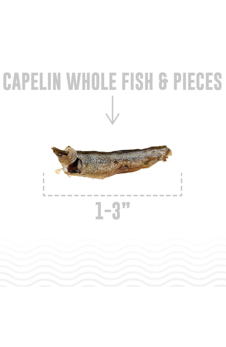 ICELANDIC+ Capelin Whole Fish & Pieces Cat Treat 1.5oz Bag, Alternate, color, Brown