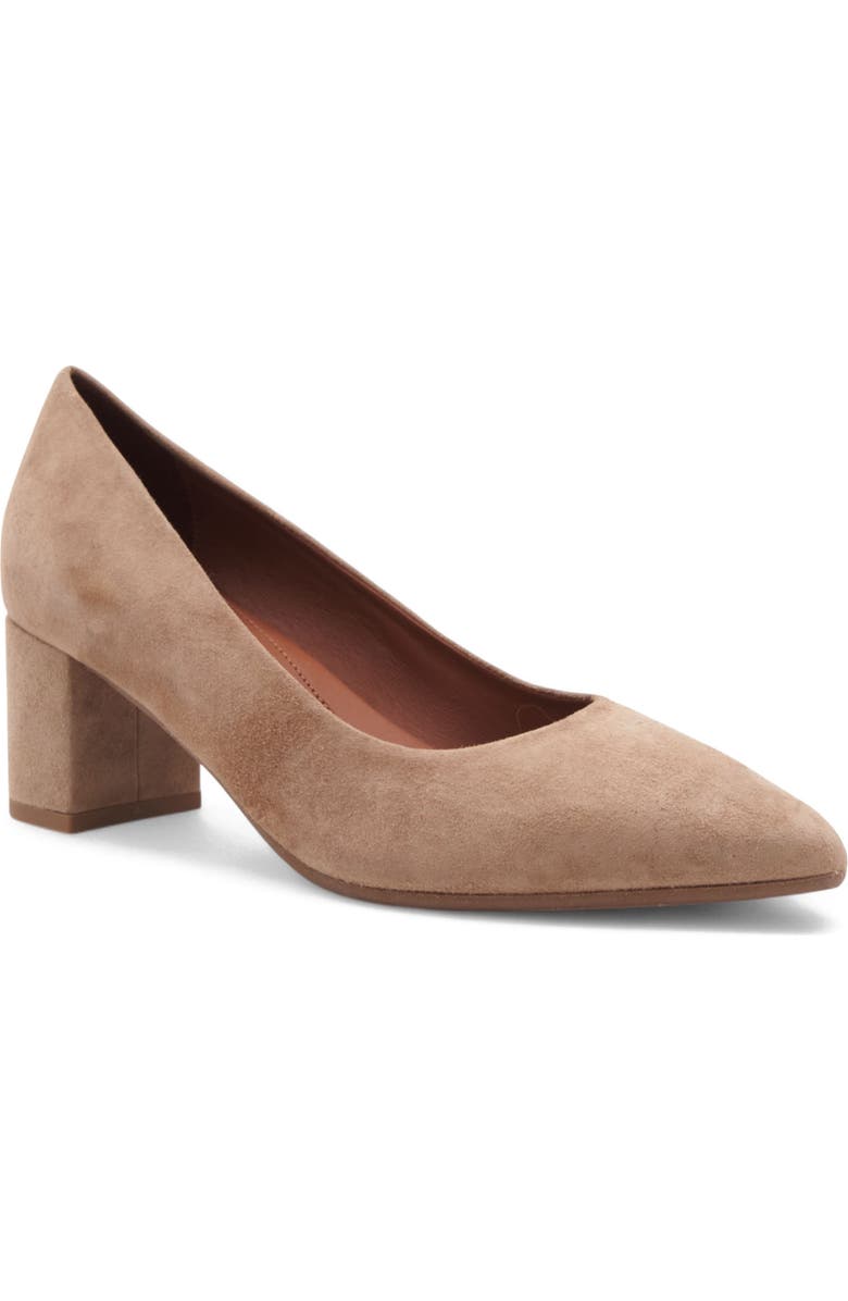 Aquatalia Kari Weatherproof Pointed Toe Pump, Main, color, Champagne Suede