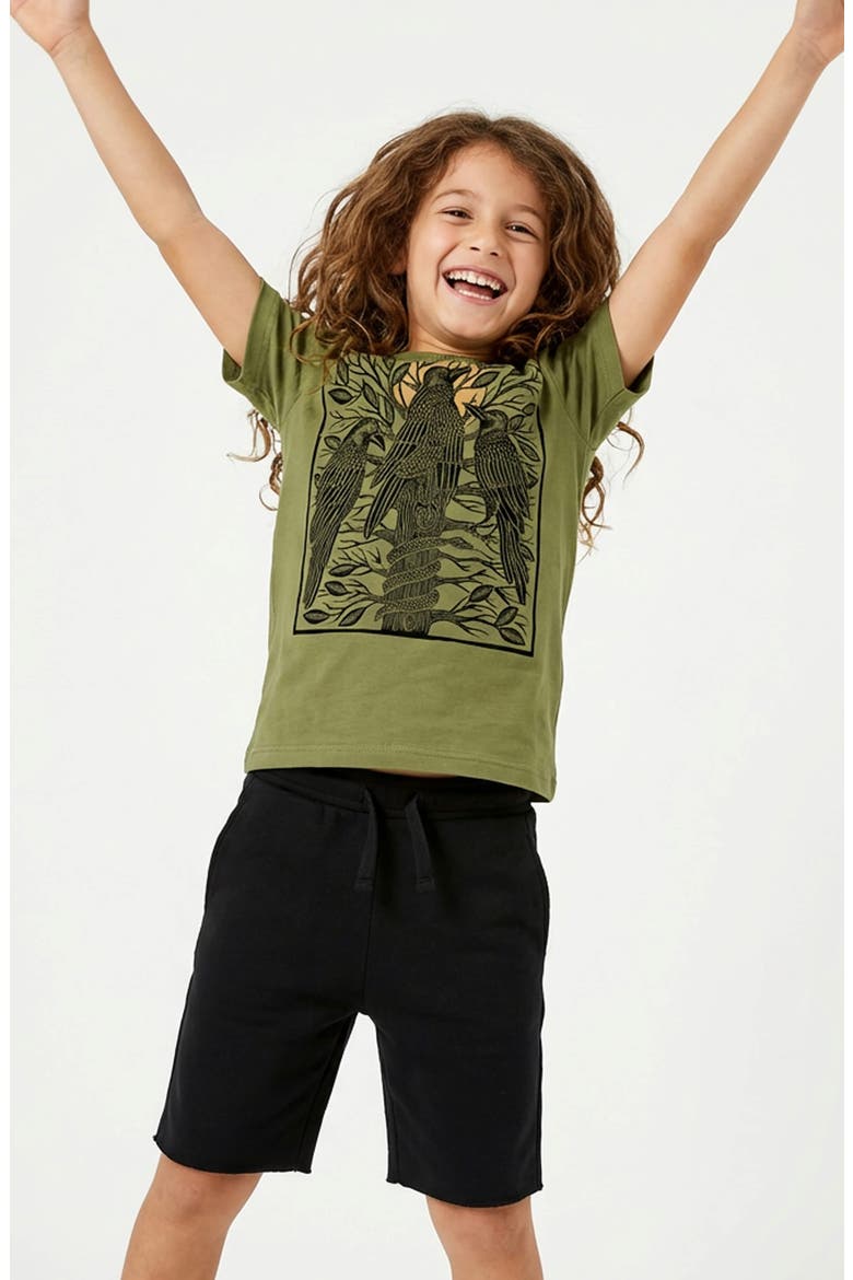 Organic Cotton Boys Grahic T-Shirt, Alternate, color, Olive Perch