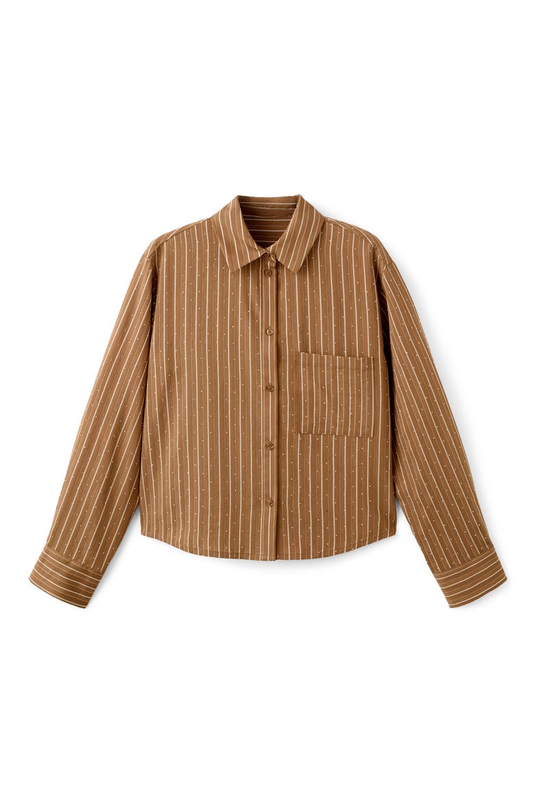 Stripe Rhinestone Shirt, Main, color, BROWN