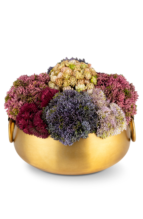 Beatrix Gold Sedum Arrangement