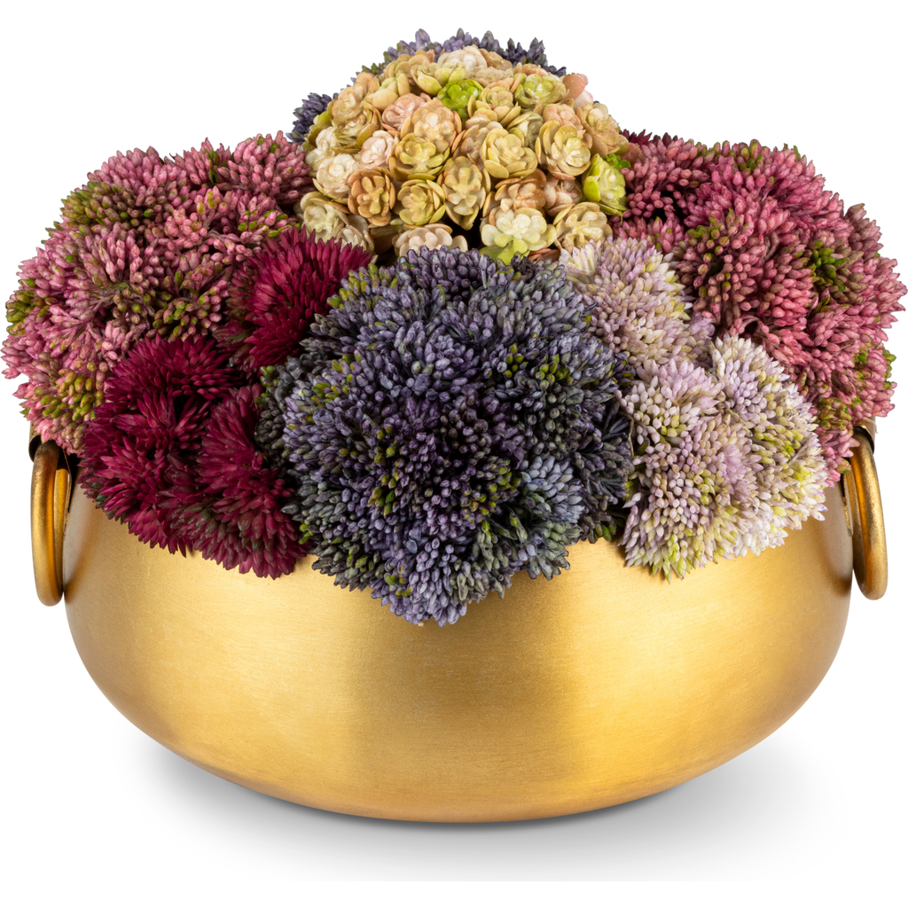 Cocobella Beatrix Gold Sedum Arrangement